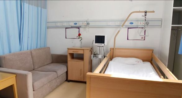 全国政协委员丁梅 安宁疗护 提案_天津临终关怀新闻