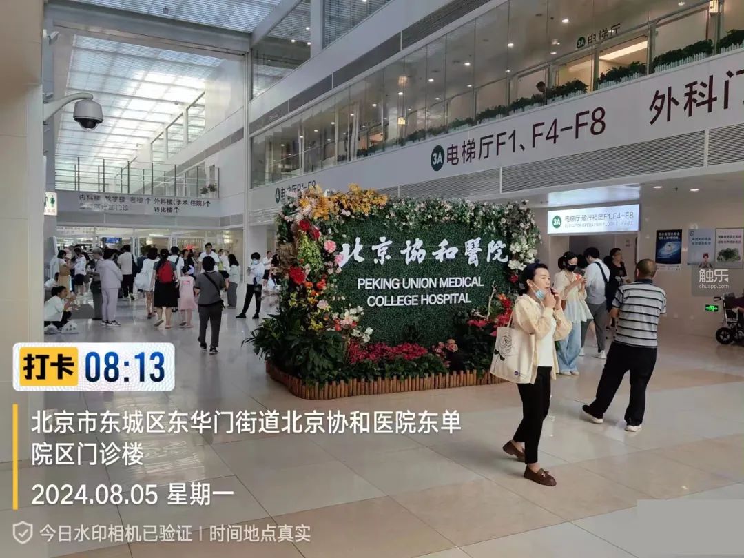 陪诊师的工作体验_程序员转行陪诊师_陪诊师