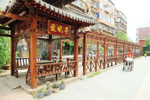 天津市河西区爱晚亭养老院_天津市河西区医养结合养老院_天津住家护工体验