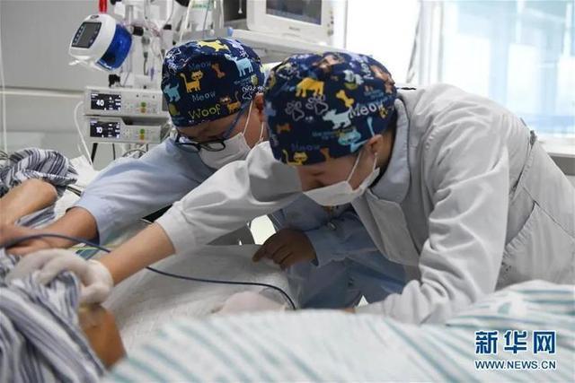 无陪护病房 护理员 培训_天津24h护工工作室