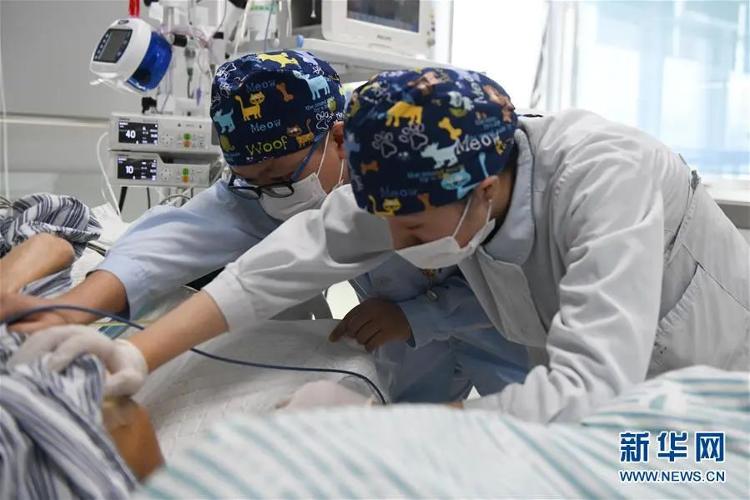 无陪护病房 护理员培训 医疗护理员持证上岗_天津24h护工工作室