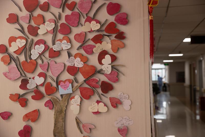 天津康复护理攻略_安宁疗护_上海安宁疗护服务